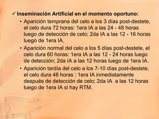  Inseminación Artificial en el momento oportuno:
   • Aparición temprana del celo a los 3 días post-destete,
     el celo dura 72 horas: 1era IA a las 24 - 48 horas
     luego de detección de celo; 2da IA a las 12 - 16 horas
     luego de 1era IA.
   • Aparición normal del celo a los 5 días post-destete, el
     celo dura 60 horas: 1era IA a las 12 - 24 horas luego
     de detección; 2da IA a las 12 horas luego de 1era IA.
   • Aparición tardía del celo a los 7-10 días post-destete,
     el celo dura 48 horas : 1era IA inmediatamente
     después de detección de celo; 2da IA a las 12 horas
     luego de 1era IA si hay RTM.
 