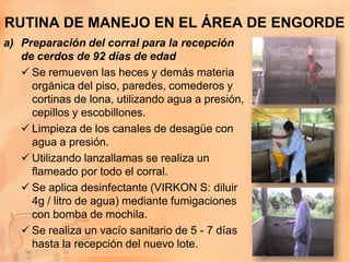 RUTINA DE MANEJO EN EL ÁREA DE ENGORDE
a) Preparación del corral para la recepción
   de cerdos de 92 días de edad
    Se remueven las heces y demás materia
     orgánica del piso, paredes, comederos y
     cortinas de lona, utilizando agua a presión,
     cepillos y escobillones.
    Limpieza de los canales de desagüe con
     agua a presión.
    Utilizando lanzallamas se realiza un
     flameado por todo el corral.
    Se aplica desinfectante (VIRKON S: diluir
     4g / litro de agua) mediante fumigaciones
     con bomba de mochila.
    Se realiza un vacío sanitario de 5 - 7 días
     hasta la recepción del nuevo lote.
 