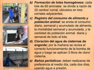 b) Formación de lotes homogéneos: cada
   lote de 60 animales se divide a razón de
   20 cerdos/ corral, ubicados en tres
   corrales adyacentes.
c) Registro del consumo de alimento y
   población animal: se anota el consumo
   diario, semanal y acumulado de alimento,
   la mortalidad semanal y acumulada, y la
   cantidad de población animal diaria y
   semanal de todo el lote.
d) Cloración del agua de cisternas de
   engorde: por la mañana se revisa el
   correcto funcionamiento de la bomba de
   agua y luego se aplican 3 litros de cloro/
   cisterna.
e) Baños periódicos: deben realizarse de
   preferencia al medio día, cada dos días,
   usando agua a presión.
 