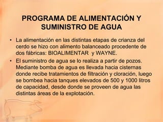 PROGRAMA DE ALIMENTACIÓN Y
         SUMINISTRO DE AGUA
• La alimentación en las distintas etapas de crianza del
  cerdo se hizo con alimento balanceado procedente de
  dos fábricas: BIOALIMENTAR y WAYNE.
• El suministro de agua se lo realiza a partir de pozos.
  Mediante bomba de agua es llevada hacia cisternas
  donde recibe tratamientos de filtración y cloración, luego
  se bombea hacia tanques elevados de 500 y 1000 litros
  de capacidad, desde donde se proveen de agua las
  distintas áreas de la explotación.
 