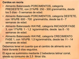 Cerdos en recría
• Alimento Balanceado PORCIMENTOS, categoría
   PREDESTETE, con 21%PB: 250 - 300 g/animal/día, desde
   los 5 días - 5 semanas de edad.
• Alimento Balanceado PORCIMENTOS, categoría DESTETE,
   con 18%PB: 600 - 700 g/animal/día, desde las 6 - 7
   semanas de edad.
• Alimento Balanceado WAYNE, categoría INICIADOR FASE
   3, con 17%PB: 1 - 1,2 kg/animal/día, desde las 8 - 10
   semanas de edad.
• Alimento Balanceado WAYNE, categoría CRECIMIENTO
   FASE 1, con 16%PB: 1,5 kg/animal/día, desde las 11 - 14
   semanas de edad.
Debemos tener en cuenta que el cambio de alimento se lo
hace durante 3 días seguidos.
El agua se suministra mediante 2 bebederos tetina/ corral,
siendo su consumo de 2,5 litros/ día.
 