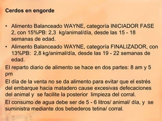 Cerdos en engorde

• Alimento Balanceado WAYNE, categoría INICIADOR FASE
   2, con 15%PB: 2,3 kg/animal/día, desde las 15 - 18
   semanas de edad.
• Alimento Balanceado WAYNE, categoría FINALIZADOR, con
   13%PB: 2,8 kg/animal/día, desde las 19 - 22 semanas de
   edad.
El reparto diario de alimento se hace en dos partes: 8 am y 5
pm
El día de la venta no se da alimento para evitar que el estrés
del embarque hacia matadero cause excesivas defecaciones
del animal y se facilite la posterior limpieza del corral.
El consumo de agua debe ser de 5 - 6 litros/ animal/ día, y se
suministra mediante dos bebederos tetina/ corral.
 