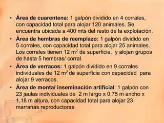 • Área de cuarentena: 1 galpón dividido en 4 corrales,
  con capacidad total para alojar 120 animales. Se
  encuentra ubicada a 400 mts del resto de la explotación.
• Área de hembras de reemplazo: 1 galpón dividido en
  5 corrales, con capacidad total para alojar 25 animales.
  Los corrales tienen 12 m2 de superficie, y alojan grupos
  de hasta 5 hembras/ corral.
• Área de verracos: 1 galpón dividido en 9 corrales
  individuales de 12 m2 de superficie con capacidad para
  alojar 9 verracos.
• Área de monta/ inseminación artificial: 1 galpón con
  23 jaulas individuales de 2 m largo x 0,75 m ancho x
  1,18 m altura, con capacidad total para alojar 23
  marranas reproductoras
 