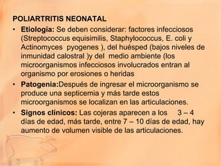 POLIARTRITIS NEONATAL
• Etiología: Se deben considerar: factores infecciosos
  (Streptococcus equisimilis, Staphylococcus, E. coli y
  Actinomyces pyogenes ), del huésped (bajos niveles de
  inmunidad calostral )y del medio ambiente (los
  microorganismos infecciosos involucrados entran al
  organismo por erosiones o heridas
• Patogenia:Después de ingresar el microorganismo se
  produce una septicemia y más tarde estos
  microorganismos se localizan en las articulaciones.
• Signos clínicos: Las cojeras aparecen a los 3 – 4
  días de edad, más tarde, entre 7 – 10 días de edad, hay
  aumento de volumen visible de las articulaciones.
 