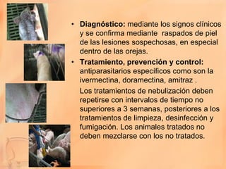 • Diagnóstico: mediante los signos clínicos
  y se confirma mediante raspados de piel
  de las lesiones sospechosas, en especial
  dentro de las orejas.
• Tratamiento, prevención y control:
  antiparasitarios específicos como son la
  ivermectina, doramectina, amitraz .
  Los tratamientos de nebulización deben
  repetirse con intervalos de tiempo no
  superiores a 3 semanas, posteriores a los
  tratamientos de limpieza, desinfección y
  fumigación. Los animales tratados no
  deben mezclarse con los no tratados.
 