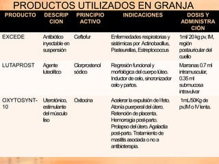 PRODUCTOS UTILIZADOS EN GRANJA
PRODUCTO     DESCRIP         PRINCIPIO            INDICACIONES                   DOSIS Y
              CION            ACTIVO                                           ADMINISTRA
                                                                                  CIÓN
EXCEDE       Antibiótico   Ceftiofur        Enfermedades respiratorias y       1ml/ 20 kg pv, IM,
             inyectable en                  sistémicas por Actinobacillus,     región
             suspensión                     Pasteurellas, Estreptococcus       postauricular del
                                                                               cuello
LUTAPROST    Agente         Clorprostenol   Regresión funcional y              Marranas 0.7 ml
             luteolítico    sódico          morfológica del cuerpo lúteo.      intramuscular,
                                            Inductor de celo, sincronizador    0.35 ml
                                            celo y partos.                     submucosa
                                                                               intravulvar
OXYTOSYNT-   Uterotónico,   Oxitocina       Acelerar la expulsión de l feto.   1mL/50Kg de
10           estimulante                    Atonía puerperal del útero.        pv,IM o IV lenta.
             del músculo                    Retención de placenta.
             liso                           Hemorragia post-parto.
                                            Prolapso del útero. Agalactia
                                            post-parto. Tratamiento de
                                            mastitis asociada o no a
                                            antibioterapia.
 