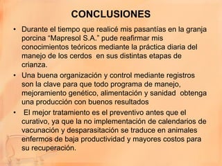 CONCLUSIONES
• Durante el tiempo que realicé mis pasantías en la granja
  porcina “Mapresol S.A.” pude reafirmar mis
  conocimientos teóricos mediante la práctica diaria del
  manejo de los cerdos en sus distintas etapas de
  crianza.
• Una buena organización y control mediante registros
  son la clave para que todo programa de manejo,
  mejoramiento genético, alimentación y sanidad obtenga
  una producción con buenos resultados
• El mejor tratamiento es el preventivo antes que el
  curativo, ya que la no implementación de calendarios de
  vacunación y desparasitación se traduce en animales
  enfermos de baja productividad y mayores costos para
  su recuperación.
 