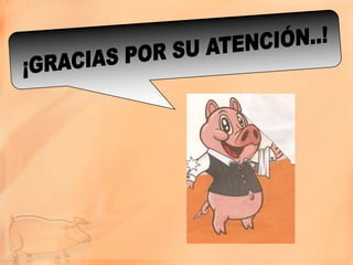 Pasantía granja porcina