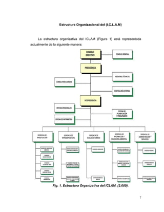 Estructura Organizacional del (I.C.L.A.M)



     La estructura organizativa del ICLAM (Figura 1) está representada
actualmente de la siguiente manera:




              Fig. 1. Estructura Organizativa del ICLAM. (2.009).


                                                                     7
 