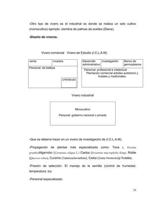 -Otro tipo de vivero es el industrial es donde se realiza un solo cultivo
(monocultivo) ejemplo: siembra de palmas de aceites (Diana).

-Diseño de viveros.




         Vivero comercial Vivero de Estudio (I.C.L.A.M)

venta              muestra                 Desarrollo     investigación      Banco de
                                           administrativo                    germoplasma
Personal: de belleza
                                            Personal: profesional e intelectual
                                             Plantación comercial arboles autóctono y
                                                       frutales y medicinales.
                          umbráculo




                                  Vivero industrial



                                     Monocultivo

                        Personal: gobierno nacional o privado




-Que se debería hacer en un vivero de investigación de (I.C.L.A.M).

-Propagación de plantas más especializada como: Teca (, Tectona
grandis)Algarrobo (Ceratonia siliqua L.) Caoba (Swietenia macrophylla King), Roble
(Quercus robur), Curarire (TabebuiaSerratifolia), Ceiba (Ceiba Pentandra)y frutales.

-Presión de selección. El manejo de la semilla (control de humedad,
temperatura, luz

-Personal especializado.


                                                                                       20
 