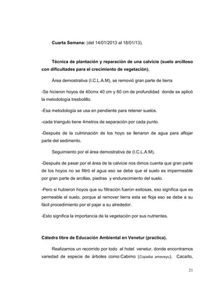 Cuarta Semana: (del 14/01/2013 al 18/01/13).



     Técnica de plantación y reparación de una calvicie (suelo arcilloso
con dificultades para el crecimiento de vegetación).

     Área demostrativa (I.C.L.A.M), se removió gran parte de tierra

-Se hicieron hoyos de 40cmx 40 cm y 60 cm de profundidad donde se aplicó
la metodología tresbolillo.

-Esa metodología se usa en pendiente para retener suelos.

-cada triangulo tiene 4metros de separación por cada punto.

-Después de la culminación de los hoyo se llenaron de agua para aflojar
parte del sedimento.

     Seguimiento por el área demostrativa de (I.C.L.A.M).

-Después de pasar por el área de la calvicie nos dimos cuenta que gran parte
de los hoyos no se filtró el agua eso se debe que el suelo es impermeable
por gran parte de arcillas, piedras y endurecimiento del suelo.

-Pero si hubieron hoyos que su filtración fueron exitosas, eso significa que es
permeable el suelo, porque al remover tierra esta se floja eso se debe a su
fácil procedimiento por el pajar a su alrededor.

-Esto significa la importancia de la vegetación por sus nutrientes.



Cátedra libre de Educación Ambiental en Venetur (practica).

     Realizamos un recorrido por todo el hotel venetur, donde encontramos
variedad de especie de árboles como:Cabimo (Copaiba amaveyu), Cacaíto,


                                                                            21
 