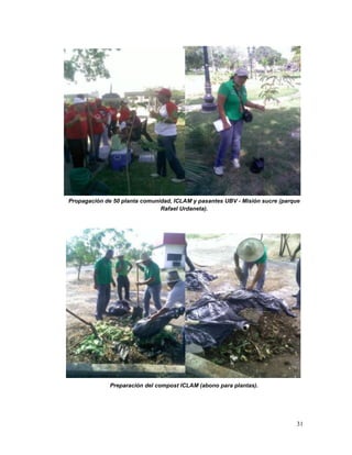Propagación de 50 planta comunidad, ICLAM y pasantes UBV - Misión sucre (parque
                               Rafael Urdaneta).




              Preparación del compost ICLAM (abono para plantas).




                                                                             31
 