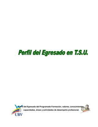 Perfil del Egresado del Programade Formación, valores, conocimientos,
     capacidades, áreas y actividades de desempeño profesional.
 