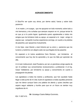 AGRADECIMIENTO



A Dios:Por ser quien soy ahora, por darme salud, fuerza y sobre todo
paciencia

A mi madre y mi suegra, que me apoyaron en todo momento; sobre todo a
mis hermanos y mis cuñadas que siempre creyeron en mí, porque tenían fe
en que yo si lo podía lograr; igualmente quiero agradecerles a todos mis
amigos que me brindaron todo su apoyo, en especial a mi mejor amigo mi
esposo que compartió muchas experiencia conmigo, en cuanto a la práctica
de pasantía y por apoyarnos mutuamente.

A mis hijos: Joan Daniel y José Antonio por su amor y paciencia que me
tuvieron y recibirme con alegría cada vez que llegaba de las pasantía

En especial a mi tutora académica Caro Romero,            por brindarme     el
conocimiento que hoy día he aprendido y lo que me falta por aprender de
ella.

A mi tutor institucional: José Pocaterra, por ser un grandioso amigo aparte de
ser mi profesor sus conocimientos revolucionarios y profesional. A el Ing.
Cesar Valdelamar, por brindarme su apoyo y conocimiento en cuanto a
propagación de plantas.

Les agradezco a todos los tutores y profesores, que han ayudado hasta
llegar a este punto de mi vida; bueno le agradezco a todas aquellas personas
que me dieron aunque fuera una palabra de aliento y quiero decirles que
espero seguir adelante y triunfar para que en un futuro se sientan muy
orgullosos de mí.


                    Br: Uzcategui Castro Belkys Coromoto.
C.I: 11.857.415.


                                                                            V
 