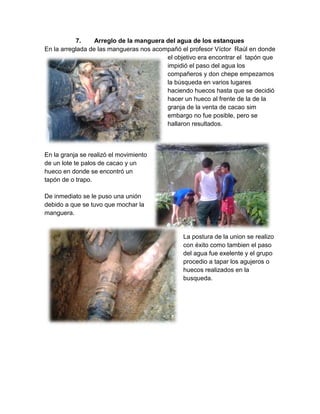 7. Arreglo de la manguera del agua de los estanques
En la arreglada de las mangueras nos acompañó el profesor Víctor Raúl en donde
el objetivo era encontrar el tapón que
impidió el paso del agua los
compañeros y don chepe empezamos
la búsqueda en varios lugares
haciendo huecos hasta que se decidió
hacer un hueco al frente de la de la
granja de la venta de cacao sim
embargo no fue posible, pero se
hallaron resultados.
En la granja se realizó el movimiento
de un lote te palos de cacao y un
hueco en donde se encontró un
tapón de o trapo.
De inmediato se le puso una unión
debido a que se tuvo que mochar la
manguera.
La postura de la union se realizo
con éxito como tambien el paso
del agua fue exelente y el grupo
procedio a tapar los agujeros o
huecos realizados en la
busqueda.
 