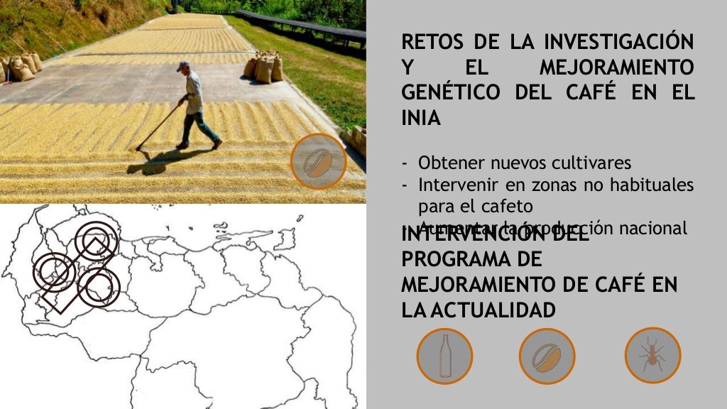 CAFÉ. Historia, Actualidad en Venezuela, Plagas y Enfermedades