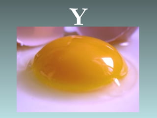Y
 