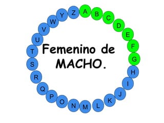 M
A
G
S
C
U
H
W
Y
I
F
D
B
L
K
J
T
R
Q
P
O
N
E
V
Z
Femenino de
MACHO.
 