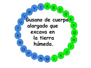 M
A
G
S
C
U
H
W
Y
I
F
D
B
L
K
J
T
R
Q
P
O
N
E
V
Z
Gusano de cuerpo
alargado que
excava en
la tierra
húmeda.
 