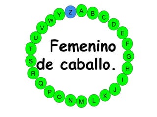 M
A
G
S
C
U
H
W
Y
I
F
D
B
L
K
J
T
R
Q
P
O
N
E
V
Z
Femenino
de caballo.
 