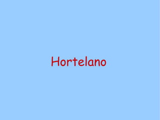 Hortelano
 