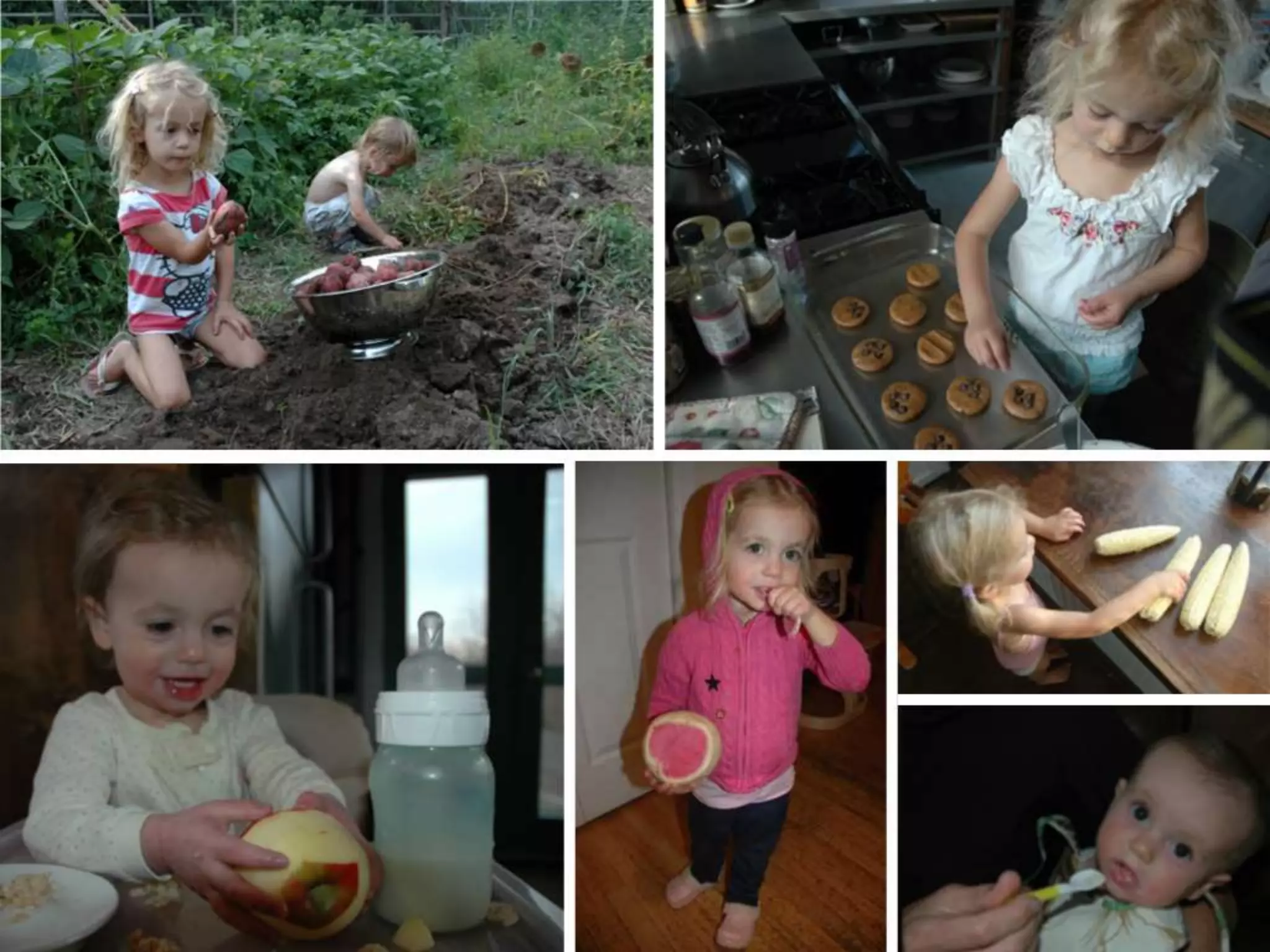 Our Shared Burden: Why Eaters are Farmers Best Friends (PASA keynote)