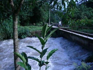 TODO ERA UNA APARENTE CALMA 