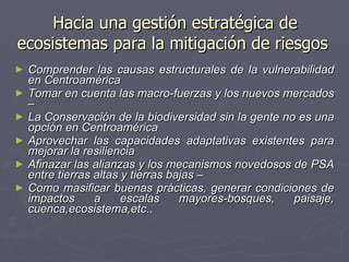  Hacia una gestión estratégica de ecosistemas para la mitigación de riesgos Comprender las causas estructurales de la vulnerabilidad en Centroamérica Tomar en cuenta las macro-fuerzas y los nuevos mercados –  La Conservación de la biodiversidad sin la gente no es una opción en Centroamérica Aprovechar las capacidades adaptativas existentes para mejorar la resiliencia  Afinazar las alianzas y los mecanismos novedosos de PSA entre tierras altas y tierras bajas – Como masificar buenas prácticas, generar condiciones de impactos a escalas mayores-bosques, paisaje, cuenca,ecosistema,etc.. 