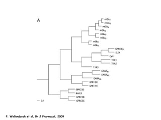P. Wellendorph et al, Br J Pharmacol, 2009 