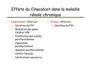 Effets du Cinacalcet dans la maladie rénale chronique Expérimental  : Effet sur Sécrétion de PTH Modulation des gènes CASR et VDR Prolifération des cellules parathyroïdiennes Hyperplasie parathyroïdienne Apoptose parathyroïdienne Ostéite fibreuse Calcifications vasculaires Clinique  : Effet sur Sécrétion de PTH 