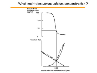 Serum calcium concentration (mM) Calcium flux 2.30 What maintains serum calcium concentration ? ECF  urine Bone  ECF 150 0 Serum PTH concentration (pg/ml) 100 50 