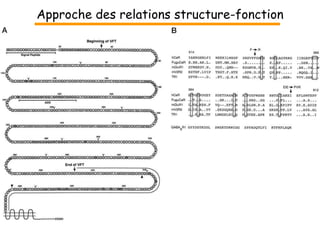Approche des relations structure-fonction 