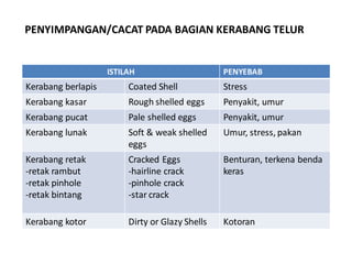 Weak Shells teknik pengolahan dan memasak telur yg baik | PPT