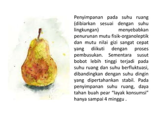 Penyimpanan pada suhu ruang
(dibiarkan sesuai dengan suhu
lingkungan)
menyebabkan
penurunan mutu fisik-organoleptik
dan mutu nilai gizi sangat cepat
yang diikuti dengan proses
pembusukan. Sementara susut
bobot lebih tinggi terjadi pada
suhu ruang dan suhu berfluktuasi,
dibandingkan dengan suhu dingin
yang dipertahankan stabil. Pada
penyimpanan suhu ruang, daya
tahan buah pear “layak konsumsi”
hanya sampai 4 minggu .

 