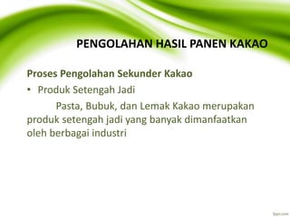 Pasca panen kakao | PPTX