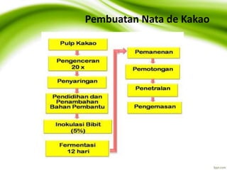 Pasca panen kakao | PPTX