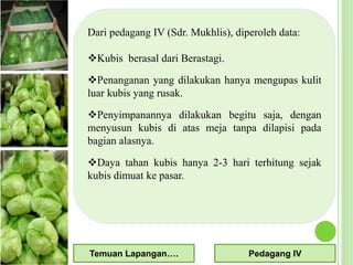 Dari pedagang IV (Sdr. Mukhlis), diperoleh data:
Kubis berasal dari Berastagi.
Penanganan yang dilakukan hanya mengupas kulit
luar kubis yang rusak.
Penyimpanannya dilakukan begitu saja, dengan
menyusun kubis di atas meja tanpa dilapisi pada
bagian alasnya.
Daya tahan kubis hanya 2-3 hari terhitung sejak
kubis dimuat ke pasar.
Temuan Lapangan…. Pedagang IV
 