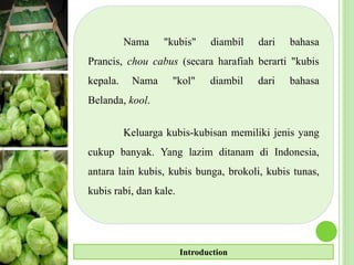 Nama "kubis" diambil dari bahasa
Prancis, chou cabus (secara harafiah berarti "kubis
kepala. Nama "kol" diambil dari bahasa
Belanda, kool.
Keluarga kubis-kubisan memiliki jenis yang
cukup banyak. Yang lazim ditanam di Indonesia,
antara lain kubis, kubis bunga, brokoli, kubis tunas,
kubis rabi, dan kale.
Introduction
 
