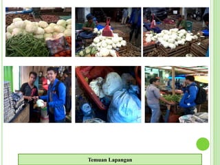 Temuan Lapangan
 