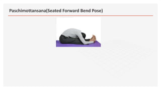 Paschimottansana(Seated Forward Bend Pose)
 