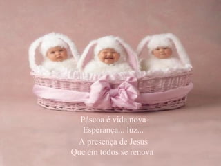 Páscoa é vida nova Esperança... luz... A presença de Jesus Que em todos se renova   