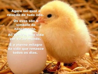 Agora sei qual a relação de tudo isto.  Os ovos são o símbolo do nascimento.  Ali dentro, uma vida por vir ao mundo.  É o eterno milagre da vida que renasce todos os dias.  