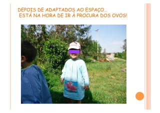 DEPOIS DE ADAPTADOS AO ESPAÇO…
ESTÁ NA HORA DE IR À PROCURA DOS OVOS!
 