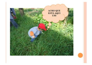 ACHO QUE
ESTÁ AQUI
   UM!
 