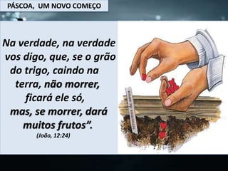 PÁSCOA, UM NOVO COMEÇO
Na verdade, na verdade
vos digo, que, se o grão
do trigo, caindo na
terra, não morrer,
ficará ele só,
mas, se morrer, dará
muitos frutos”.
(João, 12:24)
 