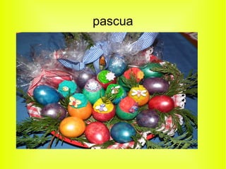 pascua
 