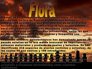 A pesar de su clima subtropical y, a diferencia de otras islas polinésicas, la Isla de Pascua presenta una mínima complejidad ecológica y una gran pobreza en su diversidad florística. El 90% de la superficie de la isla es una sabana seca con un estrato herbáceo abundante compuesto mayoritariamente por gramíneas introducidas, entre las que se intercalan ocasionales matorrales y bosquetes con especies también exóticas. Recientes estudios paleobotánicos han demostrado que en el pasado existían en la isla masas boscosas de importancia, extensos matorrales y praderas de pastos y helechos. Se han identificado 212 especies de plantas (extintas y actuales), de las cuales 46 son nativas y 166 introducidas. Entre las especies más interesantes de la citar: El toromiro (Sophora toromiro) la palma de pascua (Paschalococcus Isla de Pascua se pueden disperta) y tres especies de gramíneas (Axonopus paschalis, Danthonia paschalis y Paspalum forsterianum) como especies endémicas. Flora 