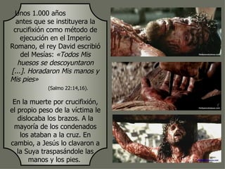Unos 1.000 años
  antes que se instituyera la
 crucifixión como método de
    ejecución en el Imperio
Romano, el rey David escribió
    del Mesías: «Todos Mis
  huesos se descoyuntaron
[...]. Horadaron Mis manos y
Mis pies»
             (Salmo 22:14,16).

 En la muerte por crucifixión,
el propio peso de la víctima le
   dislocaba los brazos. A la
 mayoría de los condenados
    los ataban a la cruz. En
cambio, a Jesús lo clavaron a
   la Suya traspasándole las
       manos y los pies.
 
