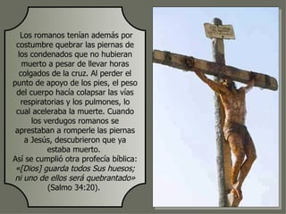 Los romanos tenían además por
 costumbre quebrar las piernas de
  los condenados que no hubieran
   muerto a pesar de llevar horas
  colgados de la cruz. Al perder el
punto de apoyo de los pies, el peso
 del cuerpo hacía colapsar las vías
   respiratorias y los pulmones, lo
 cual aceleraba la muerte. Cuando
      los verdugos romanos se
 aprestaban a romperle las piernas
    a Jesús, descubrieron que ya
           estaba muerto.
Así se cumplió otra profecía bíblica:
 «[Dios] guarda todos Sus huesos;
 ni uno de ellos será quebrantado»
           (Salmo 34:20).
 