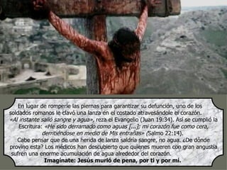 En lugar de romperle las piernas para garantizar su defunción, uno de los
soldados romanos le clavó una lanza en el costado atravesándole el corazón.
«Al instante salió sangre y agua», reza el Evangelio (Juan 19:34). Así se cumplió la
    Escritura: «He sido derramado como aguas [...]; mi corazón fue como cera,
              derritiéndose en medio de Mis entrañas» (Salmo 22:14).
   Cabe pensar que de una herida de lanza saldría sangre, no agua. ¿De dónde
provino esta? Los médicos han descubierto que quienes mueren con gran angustia
 sufren una enorme acumulación de agua alrededor del corazón.
               Imagínate: Jesús murió de pena, por ti y por mí.
 